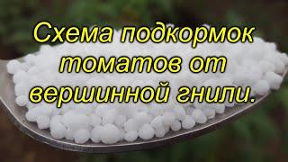 Кальций для томатов - схема подкормок от вершинной гнили.