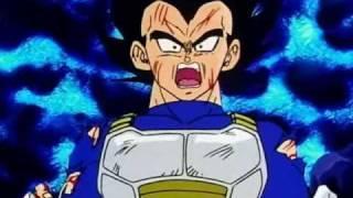 Dbz-Vegeta's apology