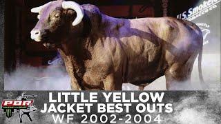 THE FIRST EVER 3X WORLD CHAMPION BULL: Little Yellow Jacket