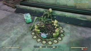 "Spin the Bottle" - Fallout 76 Best Bears