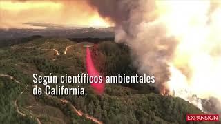 En medio de la catástrofe en California, Trump tuitea su preocupación por el agua