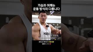 가슴과 어깨 운동 방식이 다른 이유