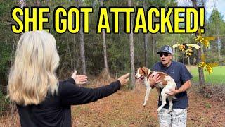 Mad HORNETS Attacked Our Dog - We Got REVENGE!