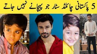 5 Pakistani Child Stars  Who Are Now Young