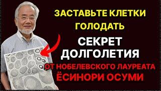 Секрет Долголетия от Нобелевского Лауреата Ёсинори Осуми