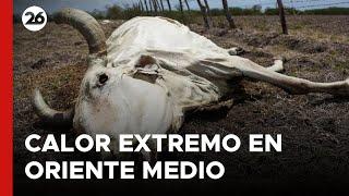 Calor extremo, una fuente de problemas en Medio Oriente y África | #26Global