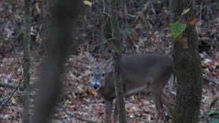 Hunting the super secret honey hole