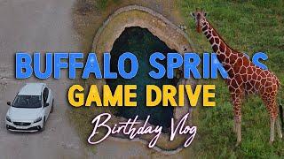 Game Drive with a Volvo V40 T5 at Buffalo Springs | Birthday Tour | DAY 2