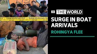 Desperate times for Myanmar's Rohingya refugees as they face rejection in Indonesia | The World