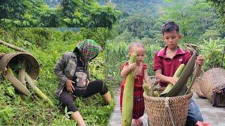 The woman helped the boy pick fruit after the boy came home from school and sold the fruit.