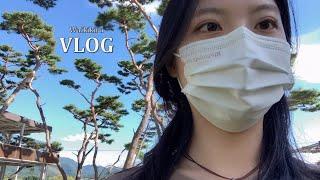 [vlog] 춘천 카페 투어. 춘천 현지인의 카페 추천 브이로그.