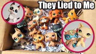 The LPS Scam That Tricked Me..