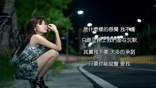  愛情的故事 「其實我不要 太多的承諾 只要你 能說聲愛我」動態歌詞