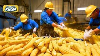 CORN FLAKES EXPOSED! What's Really Going on in Those Factories? This is How Cornflakes Are Made!