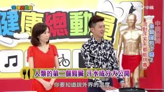 汗水不是廢物!! 三招喚醒汗腺排毒好舒暢 Part1│20160609健康總動員