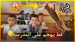 قط شرس يهجم على المدرسة !! (مستحيل الي صار)