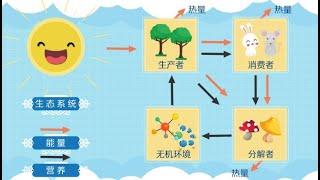 一分钟了解生态系统的组成