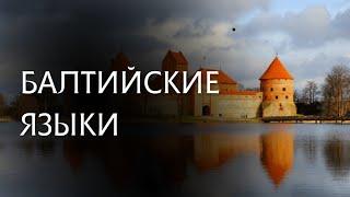 БАЛТИЙСКИЕ ЯЗЫКИ: что это такое? Какое отношение имеют к славянским языкам?