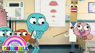 Anais' Medical Condition | The Amazing World of Gumball | Cartoon Network