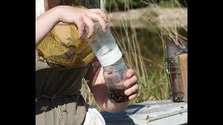 Varroa mite monitoring: Alcohol wash