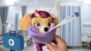 Paw Patrol Skye Vet Clinic!