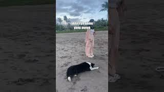 KETEMU ANJING VIRAL TIKTOK DI BALI!