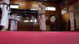 Shidokan Honbu Dojo (shihan Robert Hatmullin) 18.10.2013