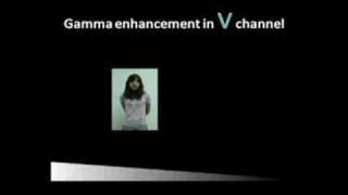 chroMirror: A Real-Time Interactive Mirror for Color-Harmonic Dressing (ACM SIGCHI 2008 WIP)