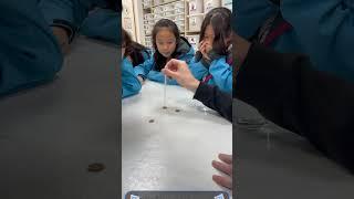 2024 Winter Camps Day 5: The Science of Water! #change #education #learning #happy #學習 #教育