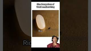 [Blue Archive] What smaller than wolrd smallest chip
