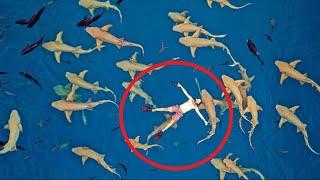 The drone captured something that shocked the whole world. No one should have seen this!