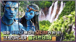 [영상앨범산] 아바타가 사는 동유럽 요정의 숲 - 플리트비체 국립공원(방구석 명산시리즈) | “요정이 머무는 숲 - 플리트비체 국립공원”(KBS 150719 방송)