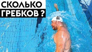 Сколько гребков в кроле надо делать, чтобы плыть быстрее?