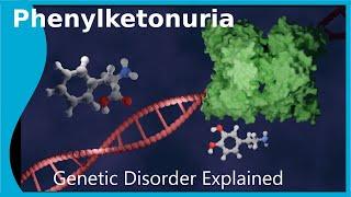 What is Phenylketonuria?