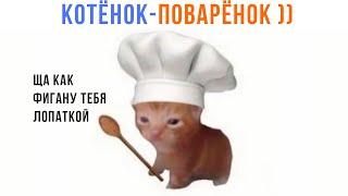 КОТЁНОК-ПОВАРЁНОК ))) | Приколы с котами | Мемозг 1444