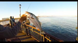 STATEN ISLAND STRIPED BASS FISHING 2.0!!!| WE FOUND UM!!