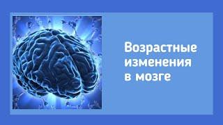 Возрастные изменения в мозге | Наталья Арсенян