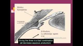 Glaucoma Drug Therapy