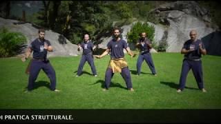 NAIR SILAT - PRATICA STRUTTURALE