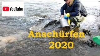 Anschürfen 2020 mit neuer Goldwaschrinne - Der Gold Andi