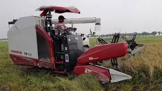 Yanmar YH 700 Full Feed Combine Harvester - Combine Harvester Demo - Agri Tools