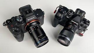 Sony or Olympus for Macro Photography? I've Decided!