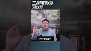 人民币国际化陷入停滞/王剑每日观察 #shortsfeed #shortsvideo #shortsviral