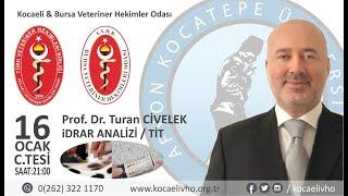 Prof Dr. Turan CİVELEK İle İdrar Analizi / TİT Semineri