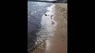 Water Sounds, Grand Traverse Bay May 2024