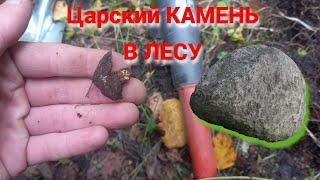Коп Монет Около ЦАРСКОГО КАМНЯ Поиск с металлоискателем Garrett ace 250