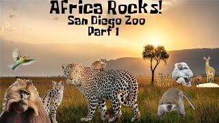 Uncaged Zoo Tours: Africa Rocks! at the San Diego Zoo Part 1 ft. Baboons #subscribe