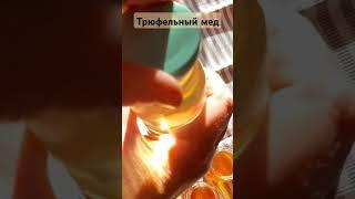 Трюфельный мед #готовимдома #кулинария #cooking #еда #готовим #трюфель #shorts