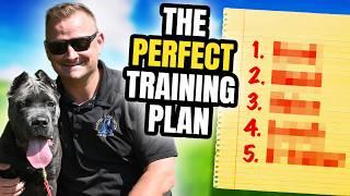 How to Train Your NEW Puppy! - 5 Simple Steps