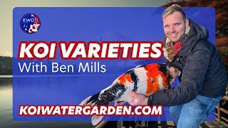 Discover the 7 Most Stunning Japanese Koi Varieties of 2024